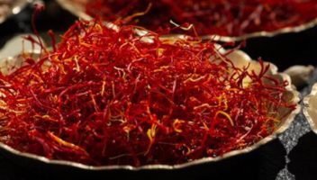 نمونه کارها